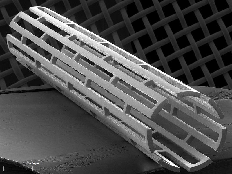 stent